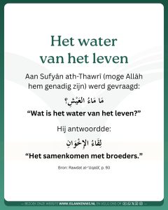 Het water van het leven