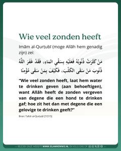 Wie veel zonden heeft